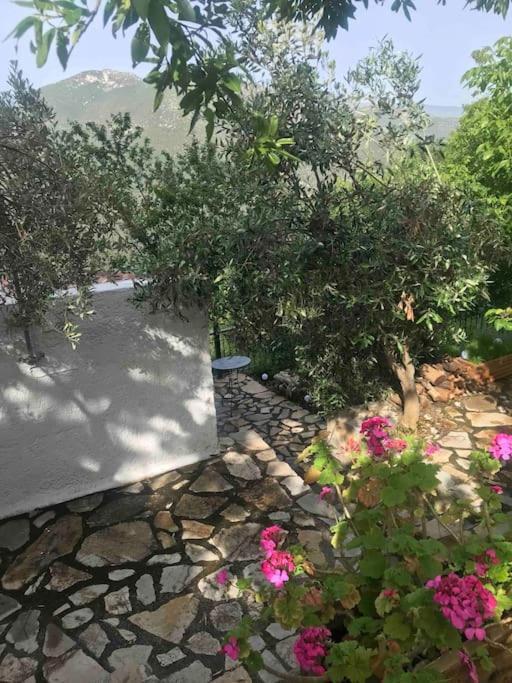 Vila Theisoa.Old Little House In The Garden . Andritsaina. Exteriér fotografie